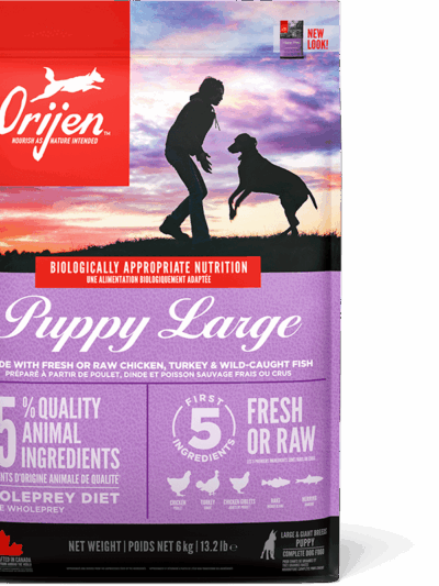 Orijen Puppy Large Breed Dry Dog Food