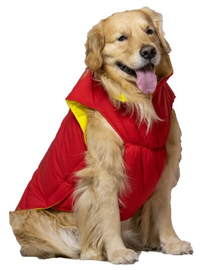 Petdeals Reversible Puffer Jacket, Lightweight Bomber Jacket, Ultra Warm Windproof Waterproof, Small Medium Large Breed Dog Jacket for Cold Weather