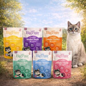 Little BigPaw, Grain Free and Hypoallergenic, Gourmet Wet Cat Food