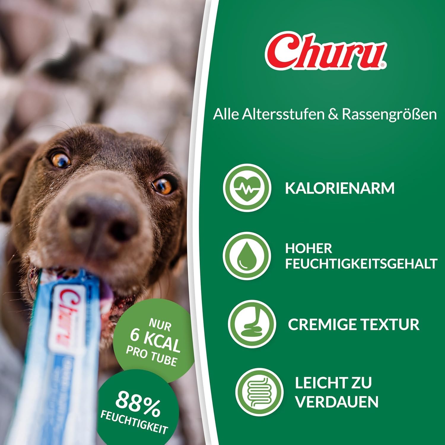 Inaba Churu Chicken Recipe Dog Treats, Grain-Free, High Protein, Soft & Creamy, Premium Japanese Dog Snack 3 Inaba Churu Chicken Recipe Dog Treats, Grain-Free, High Protein, Soft & Creamy, Premium Japanese Dog Snack - Image 3
