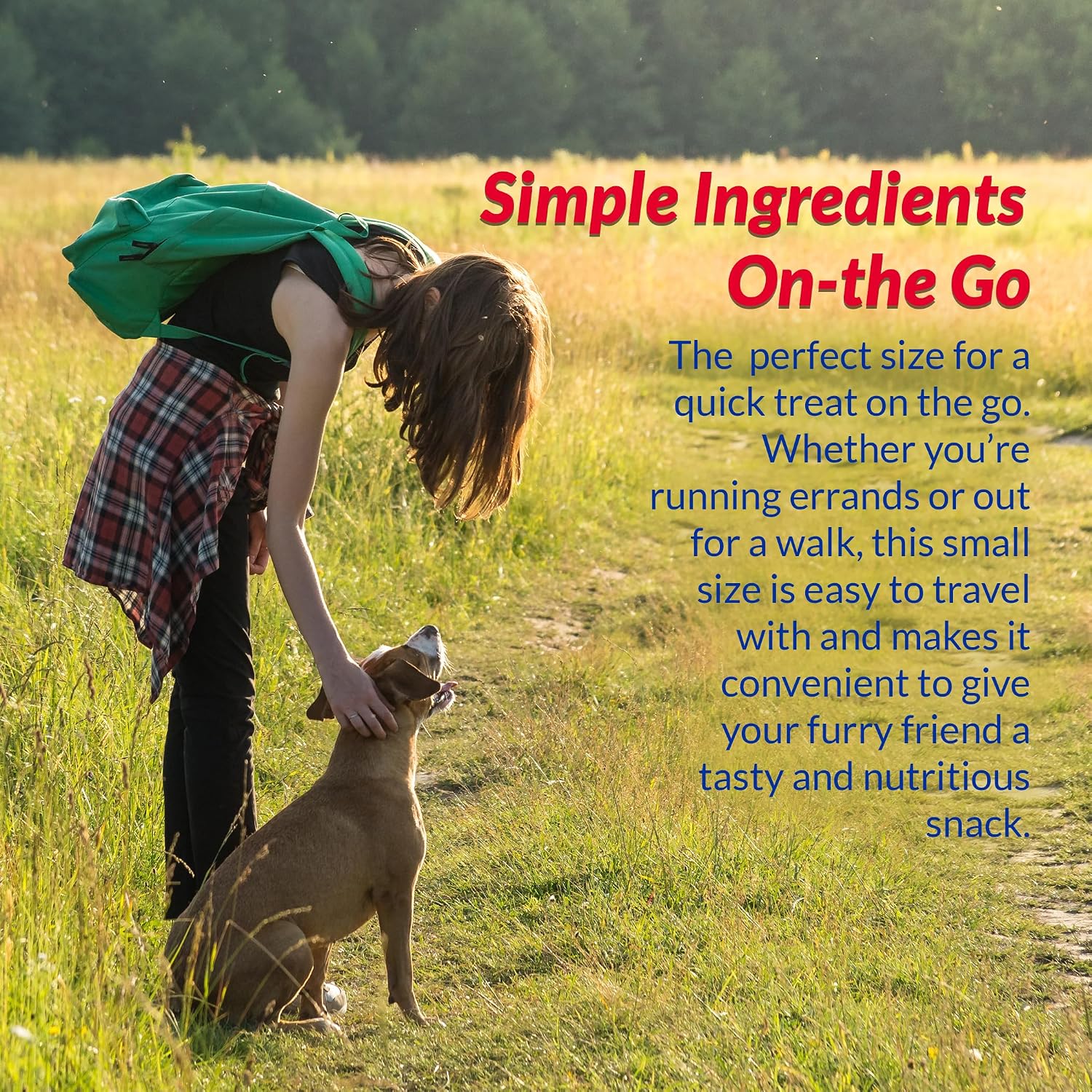 Inaba Churu Chicken with Vegetable Recipe Dog Treats, Grain-Free, High Protein, Soft & Creamy, Premium Japanese Dog Snack 3 Inaba Churu Chicken with Vegetable Recipe Dog Treats, Grain-Free, High Protein, Soft & Creamy, Premium Japanese Dog Snack - Image 3